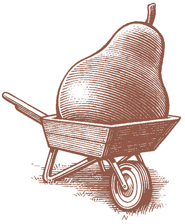 Rustic wooden wheelbarrow illustration – symbol of Harvest Life
